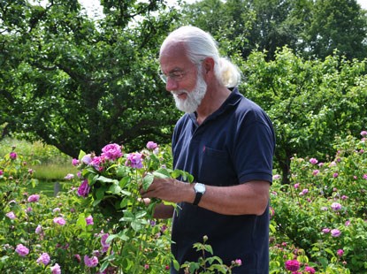Foto av Lars-Åke Gustavsson som håller en ros i handen och undersöker den. 