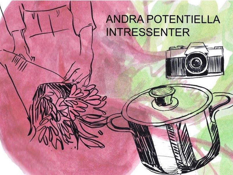 Illustration i färg, föreställande bland annat en gryta, en kamera och en bukett med blommor.