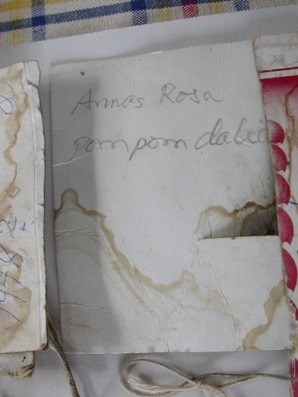 Färgfoto som visar en handskriven papperslapp med texten "Annas rosa pompom-dahlia". Lappen är skriven av Rällsjö Brita. 