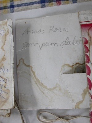 Färgfoto som visar en handskriven papperslapp med texten "Annas rosa pompom-dahlia". Lappen är skriven av Rällsjö Brita.