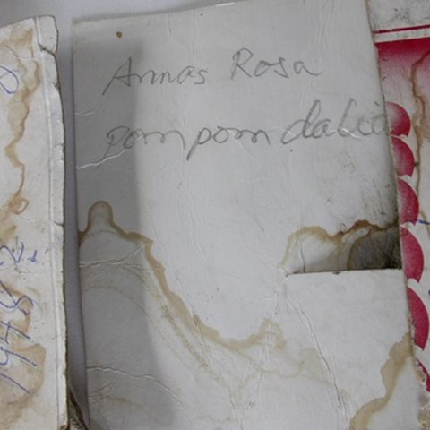 Färgfoto som visar en handskriven lapp med texten "Annas rosa pompom-dahlia". Lappen är skriven av Rällsjö Brita. 
