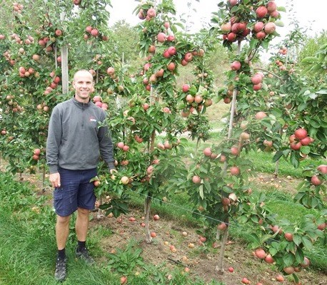 Foto från Vistakulle fruktodling. Fotot visar en ung man i grå tröja som står vid en rad äppleträd i odlingen.  