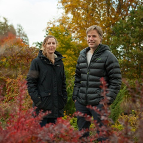 A man and a woman in an autumn forest. Photo.