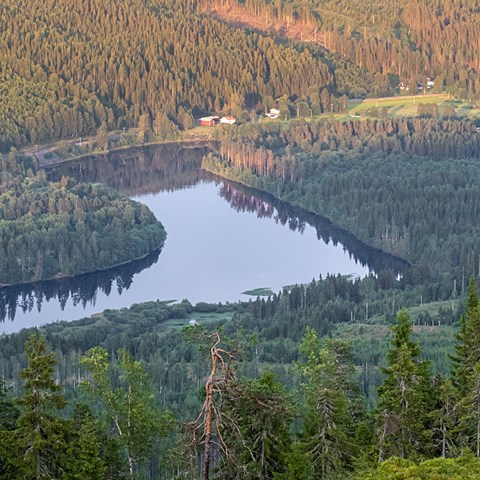 All land