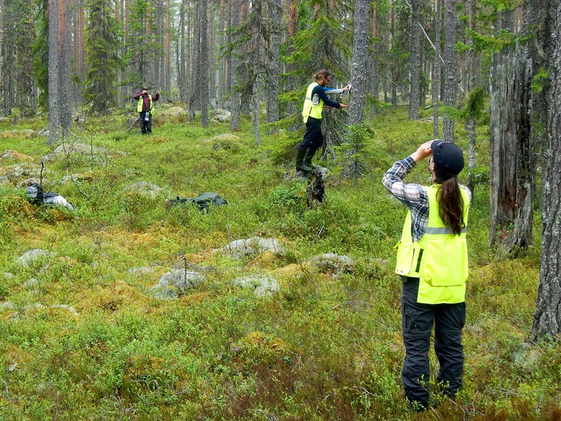 Skogsinventering, foto: Åke Bruhn