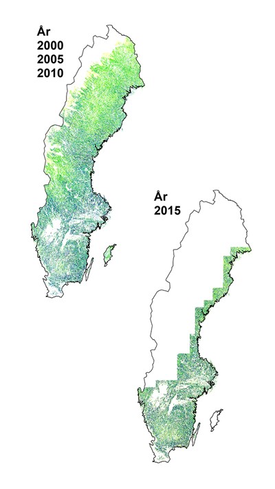 Karta över Sveriges landsgränser täckt med gul/gröna områden. Bild.