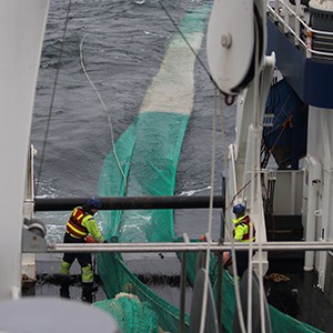 Crew members working with a trawl on the workdeck during Bits Q1 2020