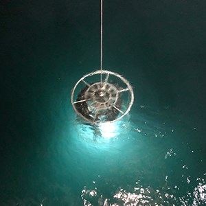 A CTD rosette is hanging just below the surface, a lamp casts a blue and green light