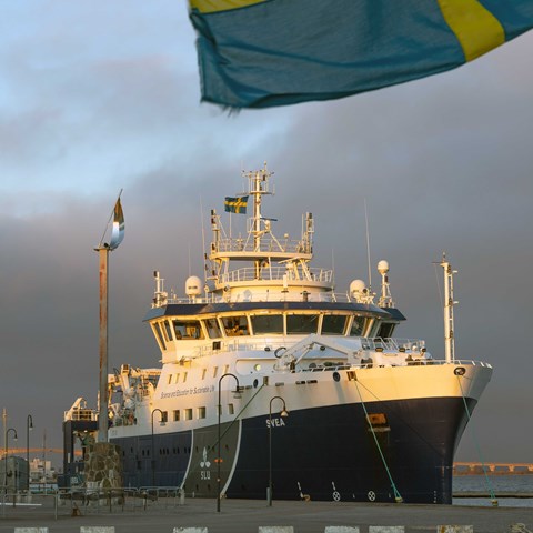 a ship is anchored in a port