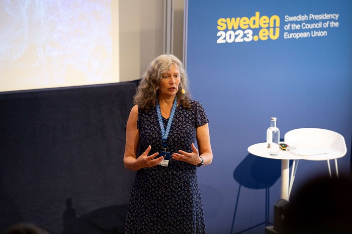 Rektor pratar på EU ordförandeskapskonferens