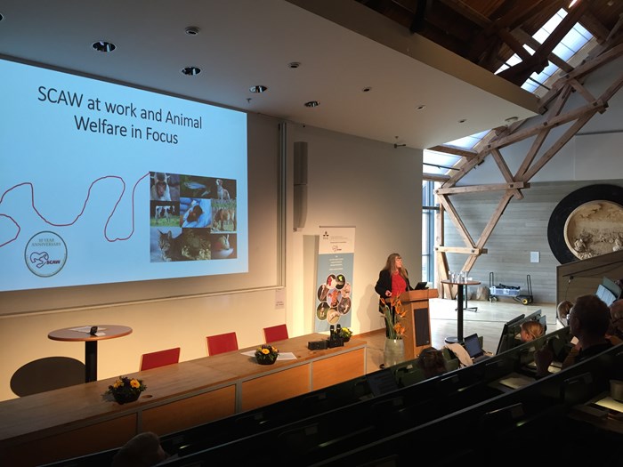Viveka Hillegaart talking at SCAW:s 10 year anniversary. Photo.