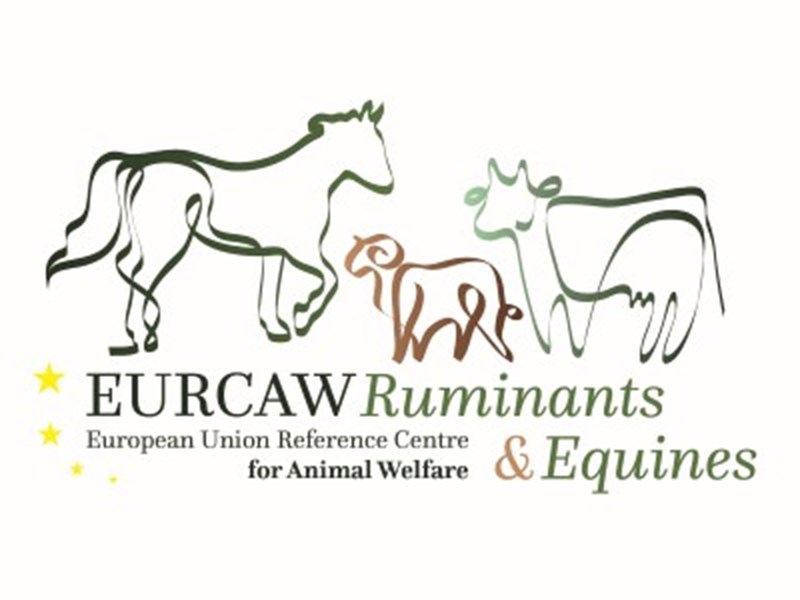 logotype EURCAW  - ruminants & equines
