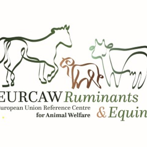 logotype EURCAW  - ruminants & equines