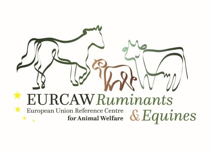 logotyp EURCAW - idisslare och hästdjur