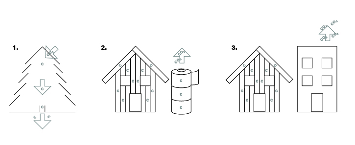 Three simple illustrations of the different aspects. Aspect 1 a tree binding carbon. Aspect 2 a wooden house that store carbon over a longer period time and toilet paper that binds for a shorter time. Aspect 3 a wooden house that store carbon and emits less carbon than its counterpart, a concrete building. 