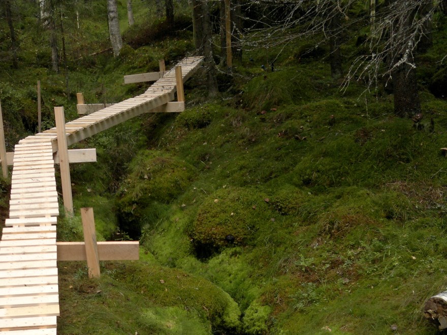 A wooden bridge spanning over wetlands and into a forest. Photo.