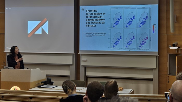 Forskare Ke Zhang presenterar. Foto.