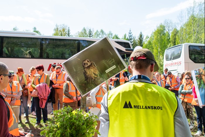 Människor framför två bussar. Foto.