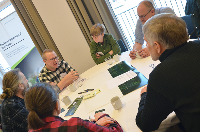 Group discussion at the second day of the conference. Photo.