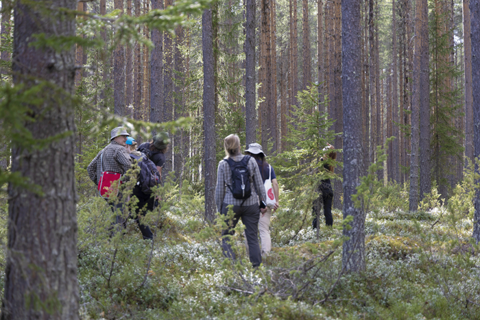 Fältövning. Foto. 