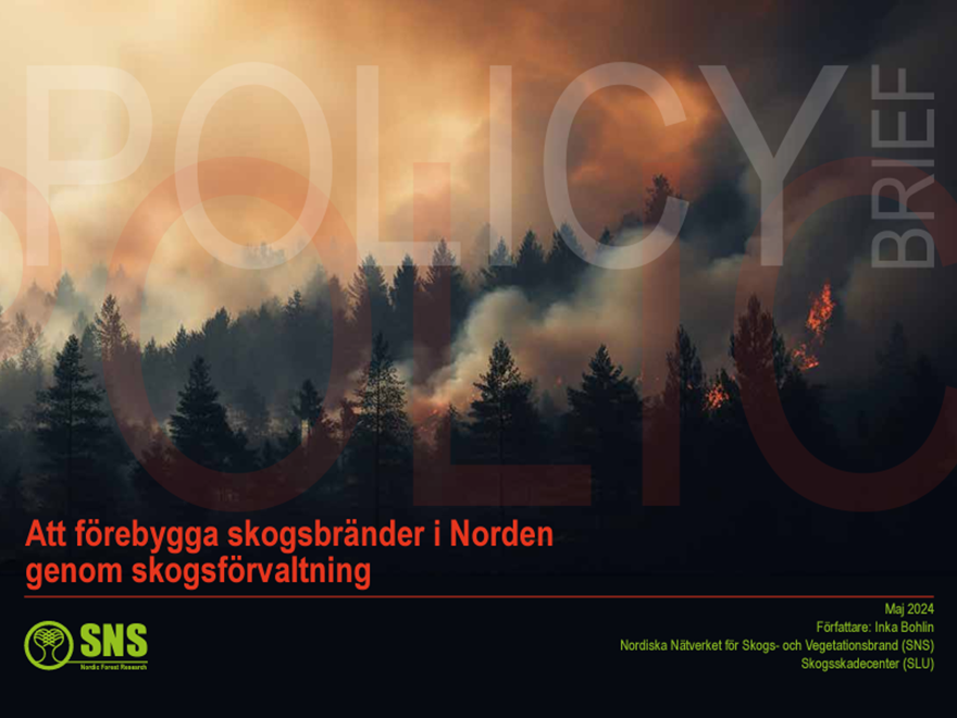 Policy brief framsida