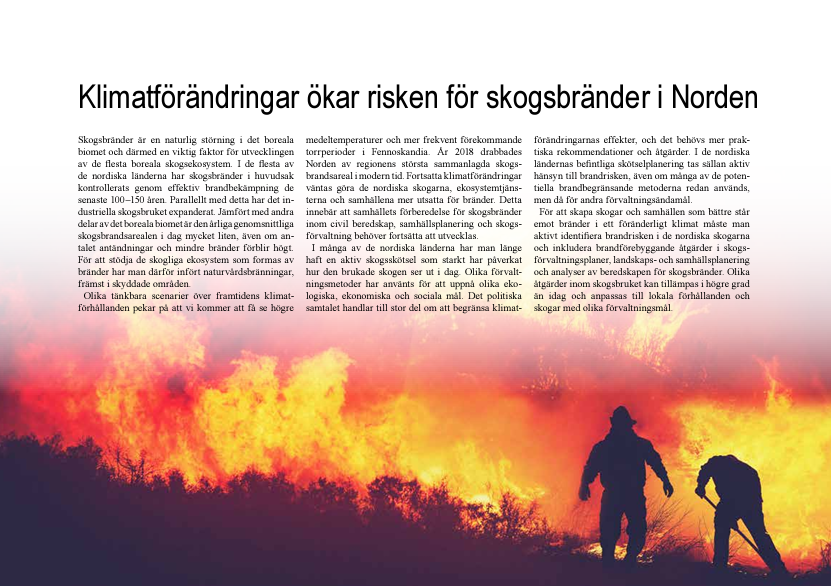 Uppslag i policy brief