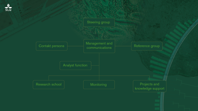 Orgschema SSC_eng.png