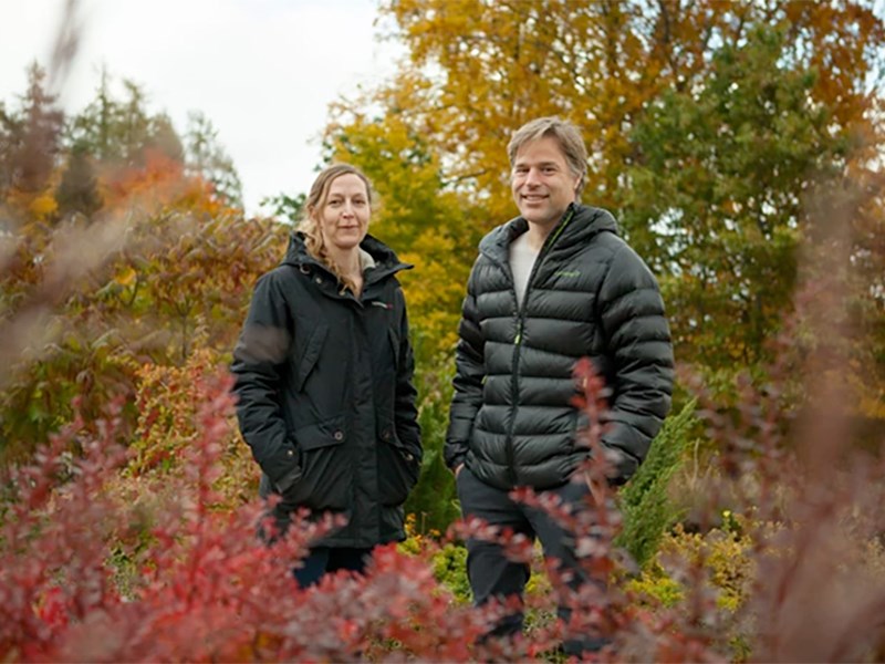 En man och en kvinna i en höstskog. Foto.En man och en kvinna i en höstskog. Foto.