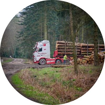 A timber truck in the forest. Phoot.