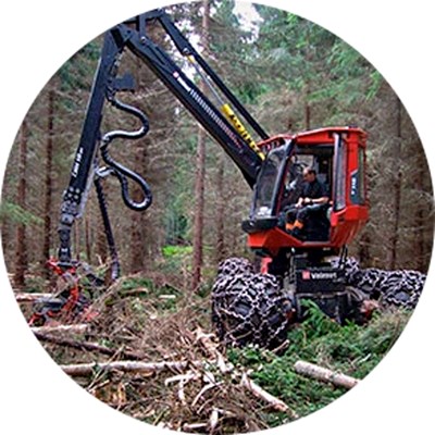 Forest machine among tree stumps. Photo.