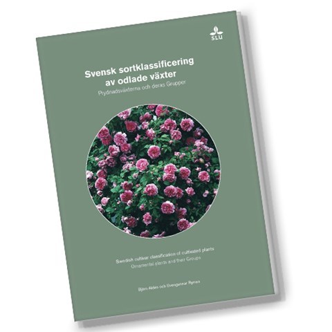 Framsidan av den nya Gruppnamnspublikationen.
