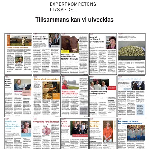 Bilden visar samling av många olika artiklar som handlar om många olika ämnen, artiklarna hör SLU MeNy.