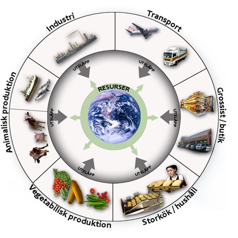 En cirkelformad modell med 6 sektorer som pekar mot centrom där jorden finns, delarna är industri, transport, Grossist/butik, storkök/hushåll, vegetabilisk produktion och animalisk produktion, model.