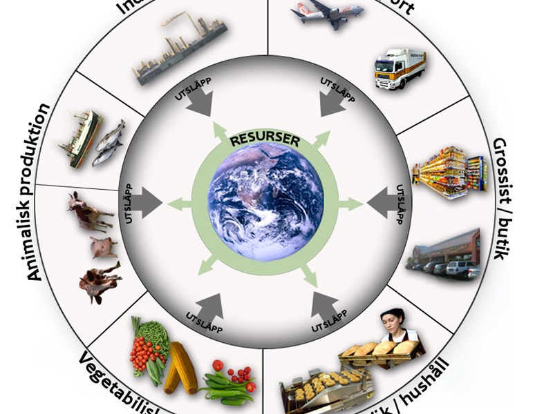 En cirkelformad modell med 6 sektorer som pekar mot centrom där jorden finns, delarna är industri, transport, Grossist/butik, storkök/hushåll, vegetabilisk produktion och animalisk produktion, model.