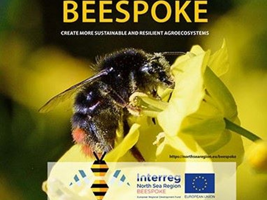 Beespoke poster