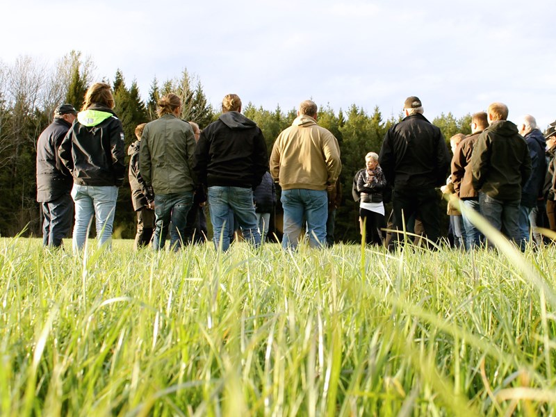 Samling av människor som står på ett grönt fält, foto.