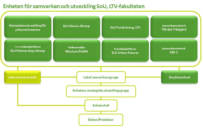 Organisationsstruktur. Diagram.