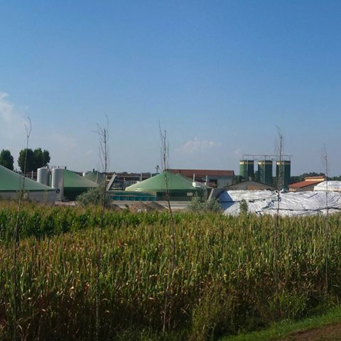 Biogasproduktion på lantbruk. Stora behållare med gröna tak som fångar gasen.