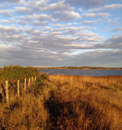 A fence that leads from grassland down into the sea in the archipelago. Photo.
