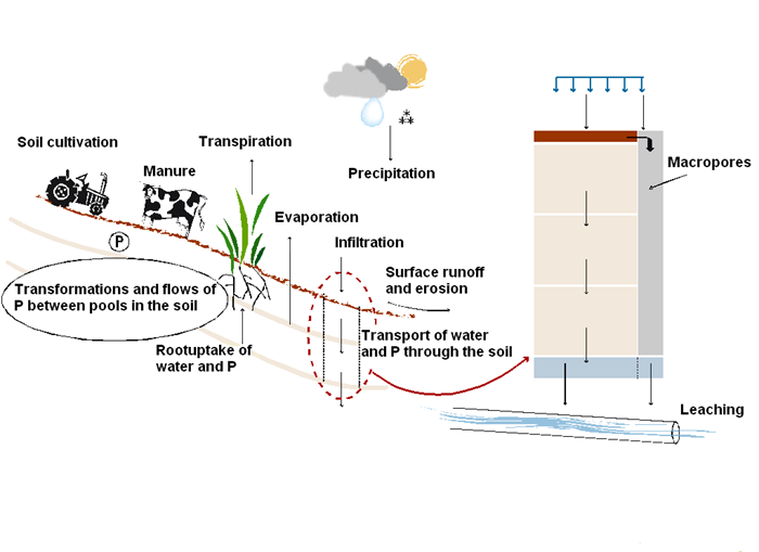 Processes in the ICECREAM model. Illustration.