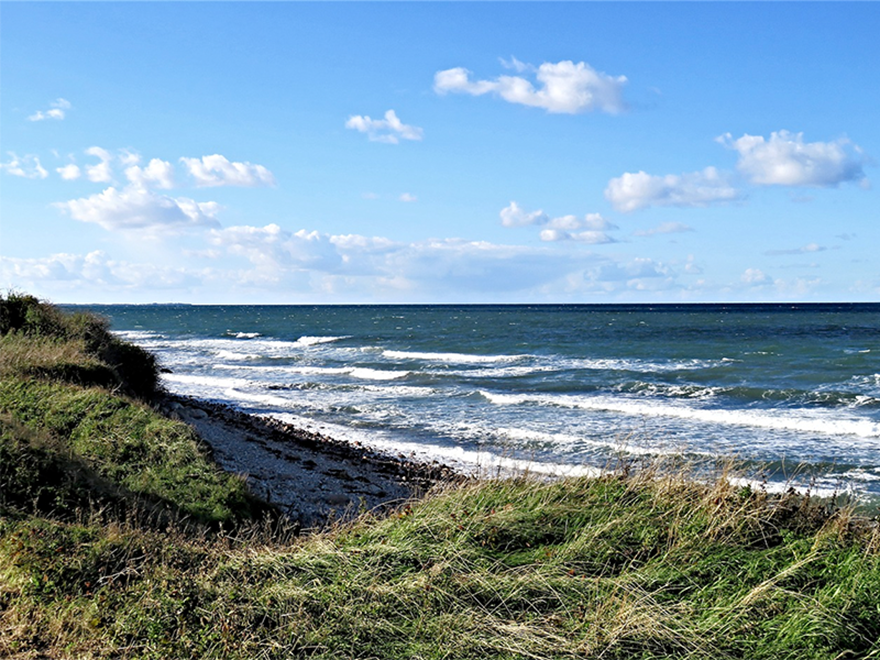 Strand vid Östersjön. Foto.
