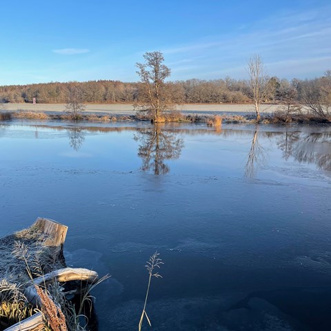 The ice has started to settle on the lake in this picture.