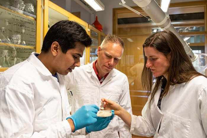 Three people in lab coats look at a petri dish.