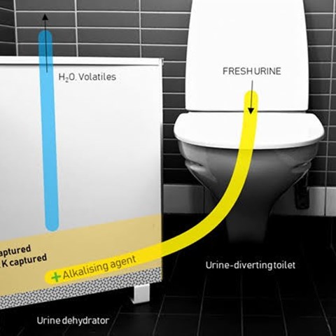 En toalet som separerar urin från avloppet.