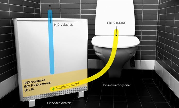 A toilet that separates urine from the drain.
