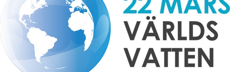Logotyp för världsvattendagen 2020. Illustration.