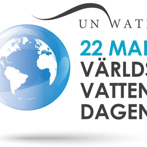 Logotyp för världsvattendagen 2020. Illustration.