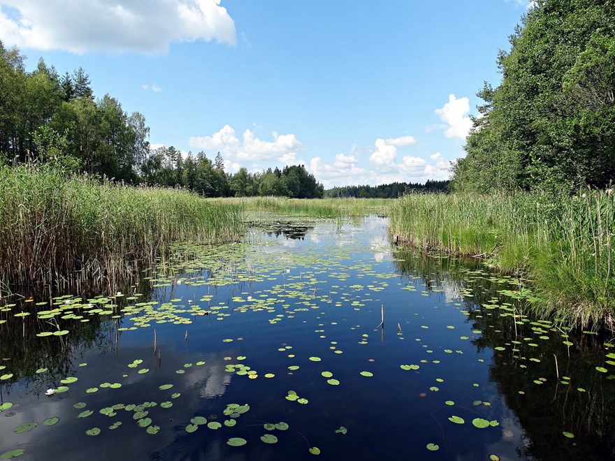 en sjö en solig sommardag fotografi