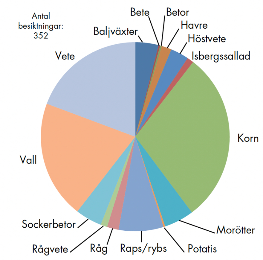 Cirkeldiagram-grödoskador-gragas