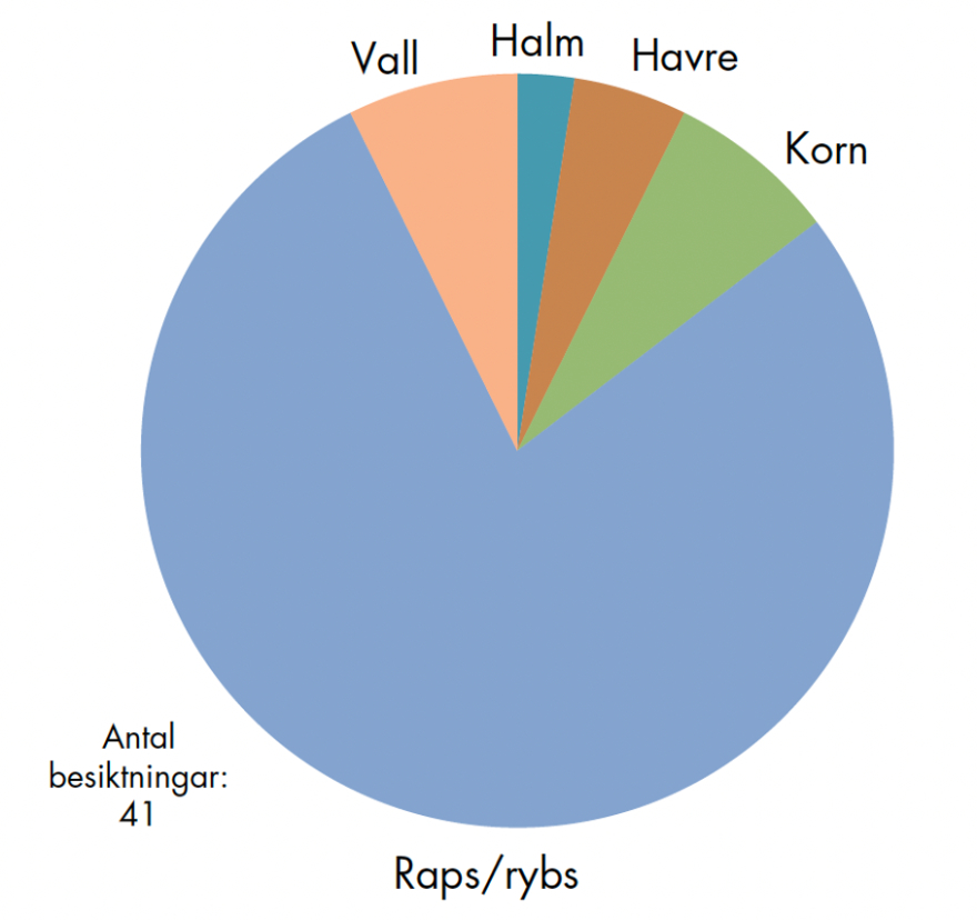 Cirkeldiagram-grodoskador-sangsvan